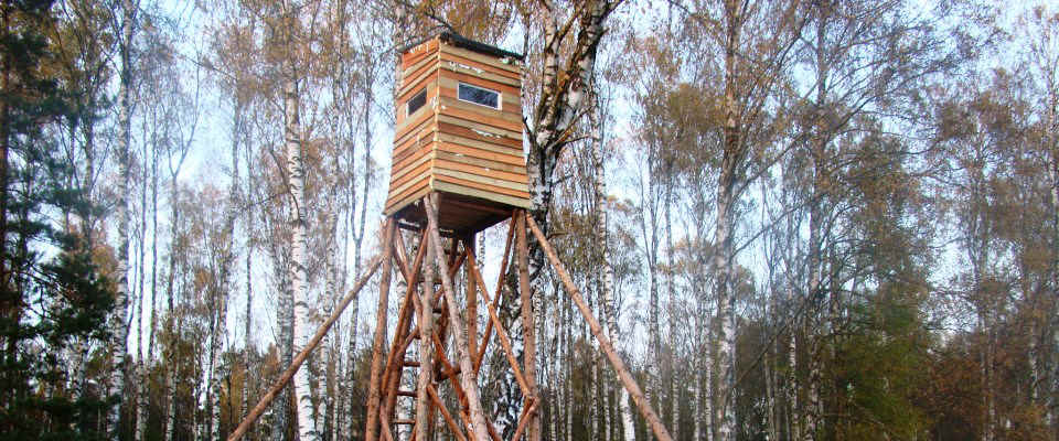 ambona1.jpg
