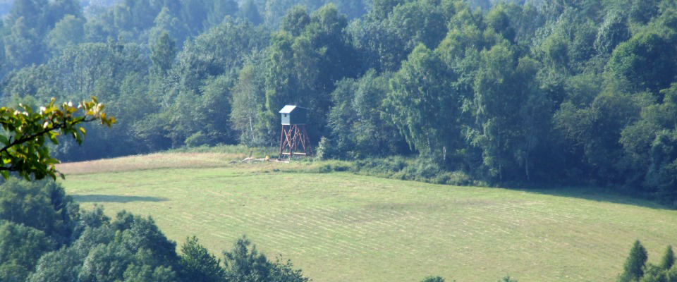 ambona4.jpg